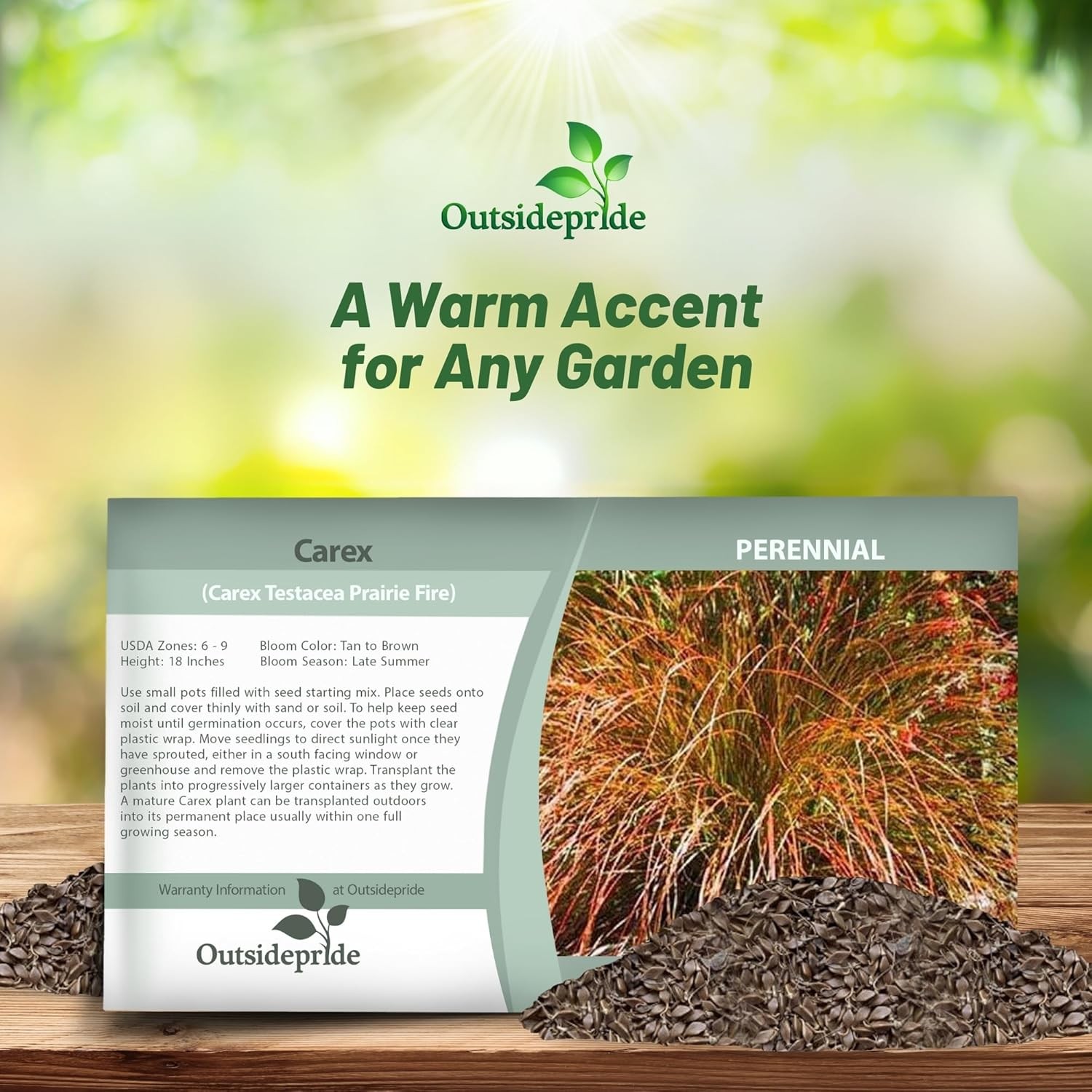 200 Seeds Carex Seed – Orange Sedge Ornamental Grass Seeds