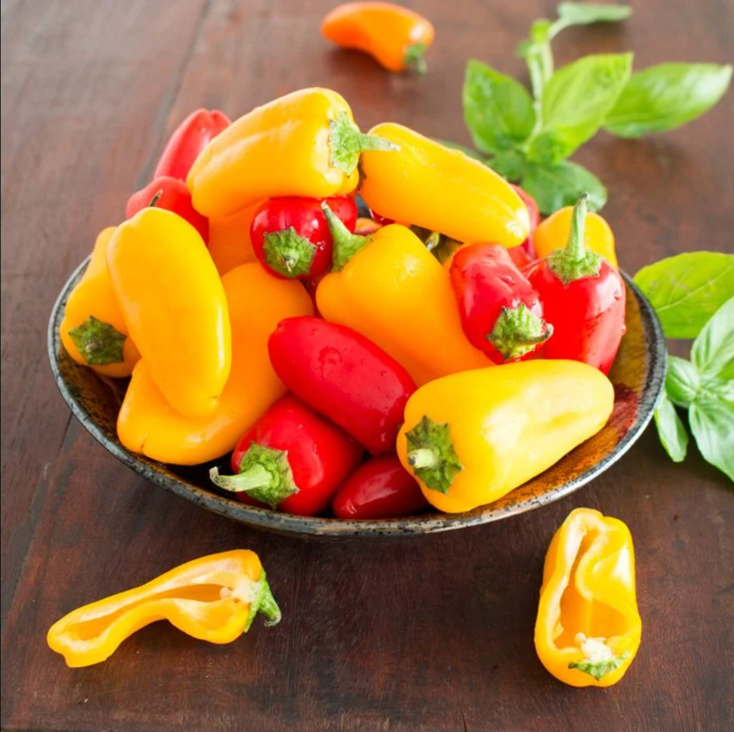 Mini Bell Pepper Seeds Mixed Colors, Non-GMO Grown Organically – Garden Seeds