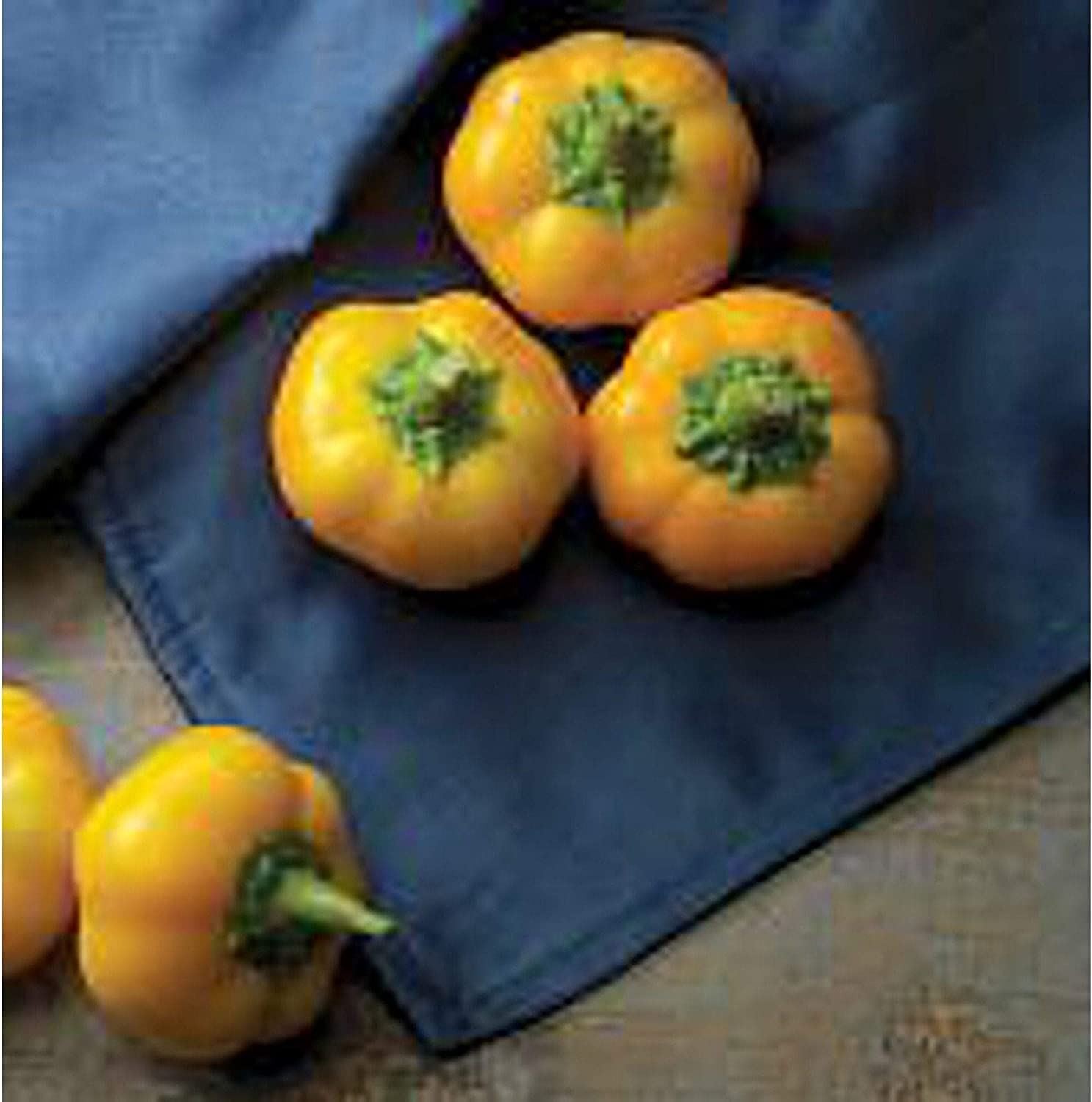 Yes to Yellow Hungarian Cheese Sweet Peppers Seeds