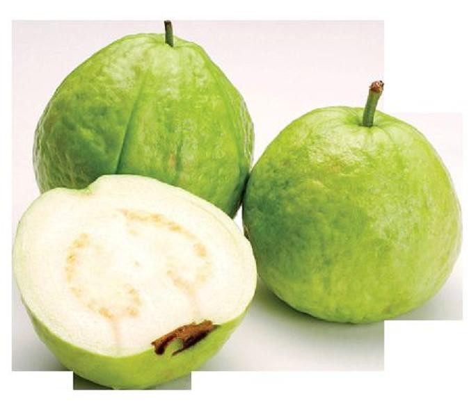GUAVA tropical fruit Psidium guajava exotic tree edible guayaba 15 SEEDS -WHITE-