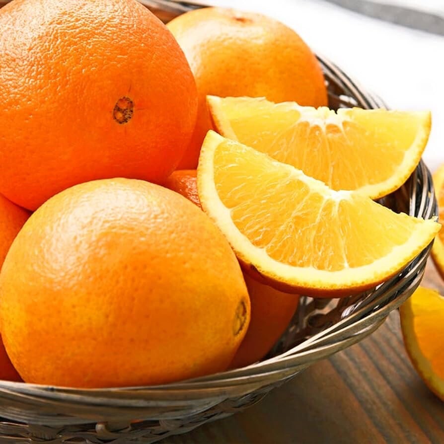 Florida Only!! Glen Navel Orange Tree 26-30”tall, grafted plant