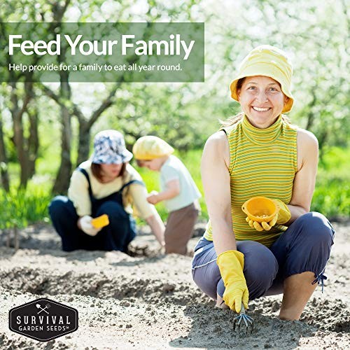 Vegetable Garden Collection Seed Vault – Non-GMO Heirloom Family Garden Seeds