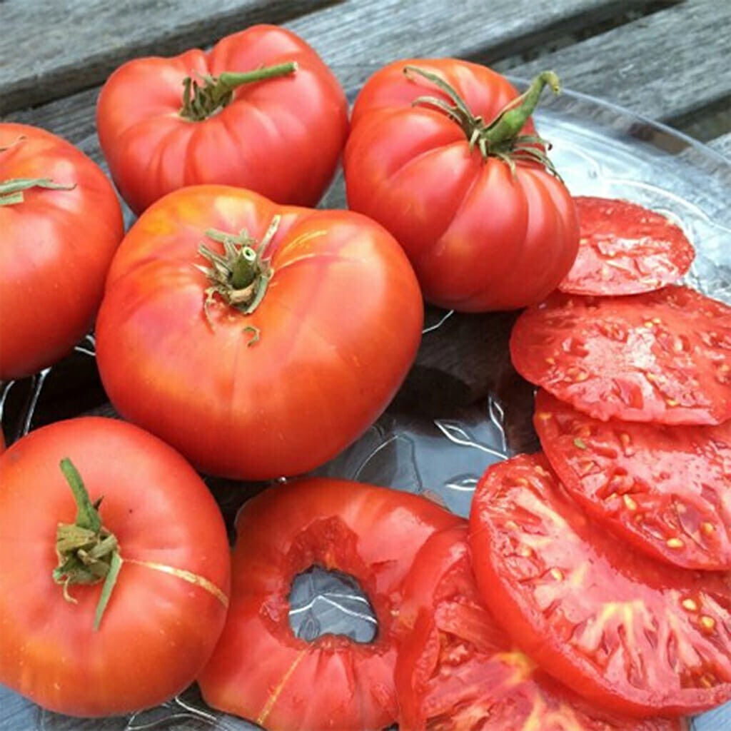 100 Brandywine Red Tomato Seeds- With Bonus! |Organic Non-GMO Heirloom