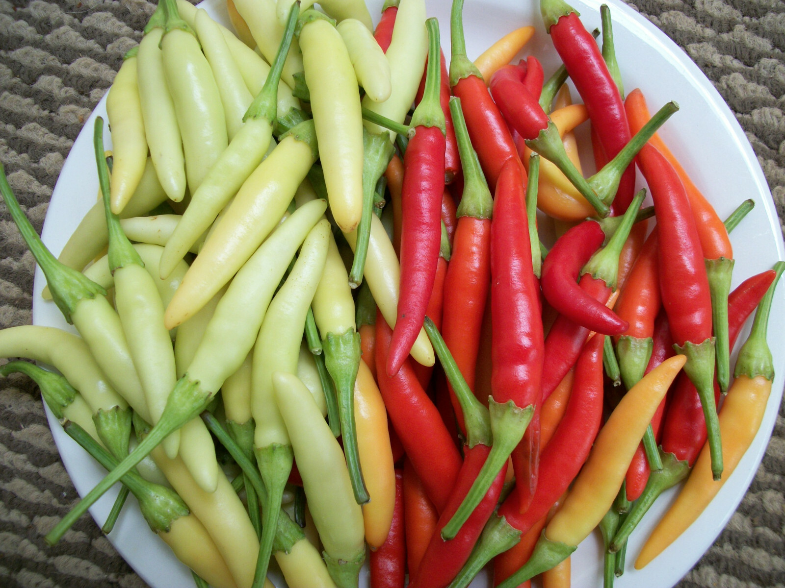 Thai White Chili Pepper Rare Heirloom Strain Extremely Hot Discovered in 1971!