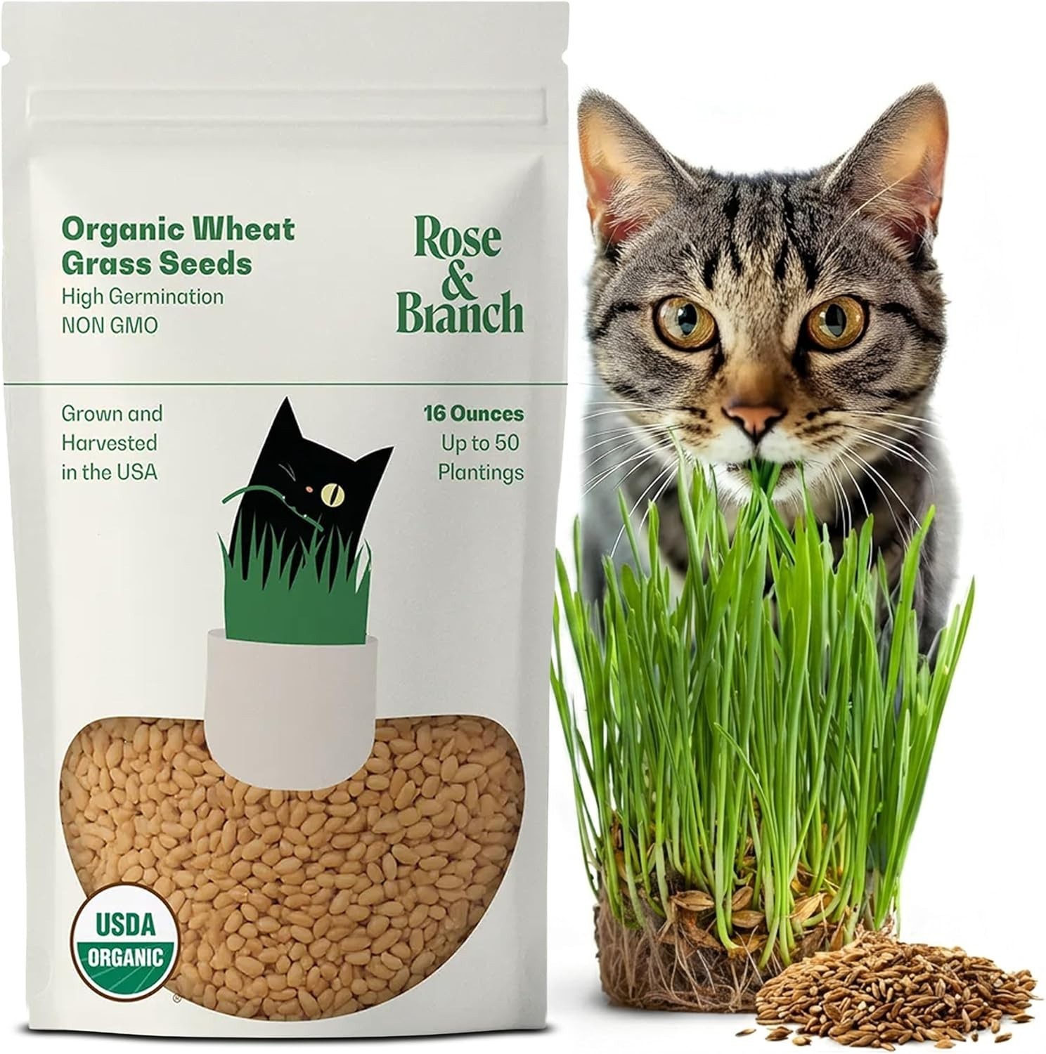 Rose & Branch Organic Wheat Grass Seeds for Indoor Cats – Cat Grass Seeds – 1…