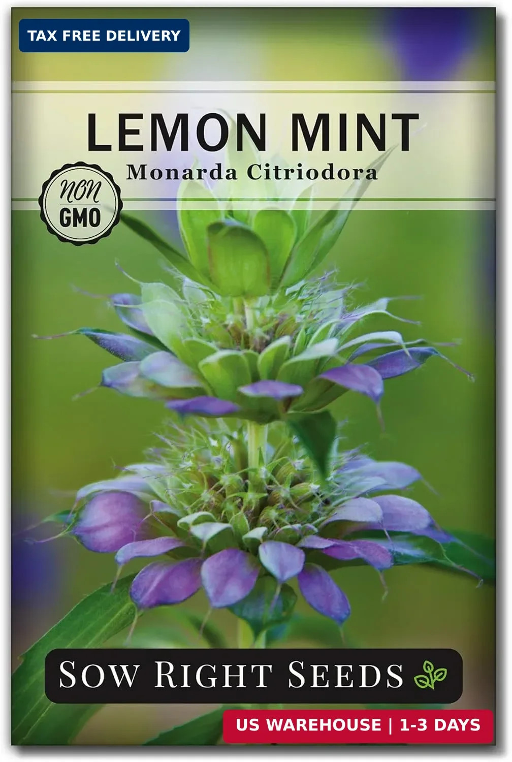 Sow Right Seeds – Lemon Mint Seed for Planting – Non-GMO Heirloom with Packet wi