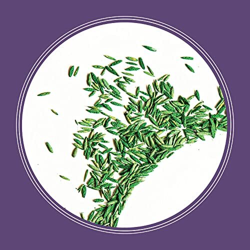 7 lb Pennington Smart Seed Dense Shade Grass Seed for Low Sunlight Areas