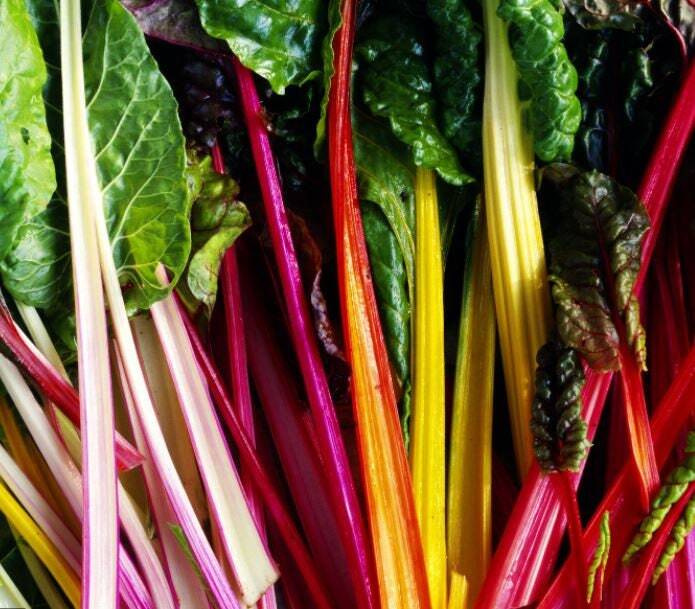 Rainbow Swiss Chard – Seeds – Organic – Non Gmo – Heirloom Seeds