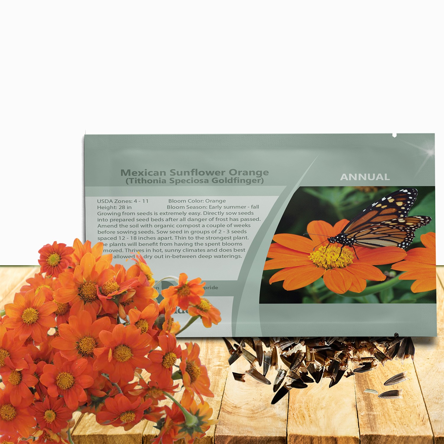 500 Seeds Orange Mexican Sunflower Seeds For Planting | Tithonia Speciosa