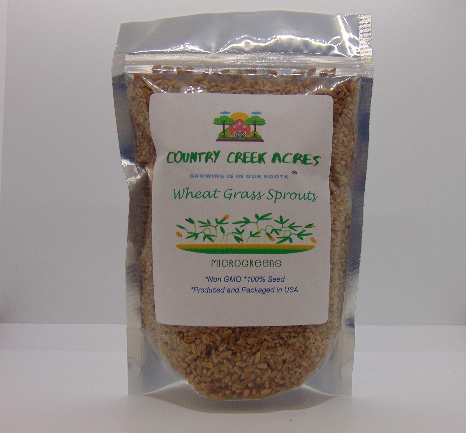 Wheatgrass, Microgreen, Sprouting, 6 OZ, Non GMO seeds- Country Creek Brown