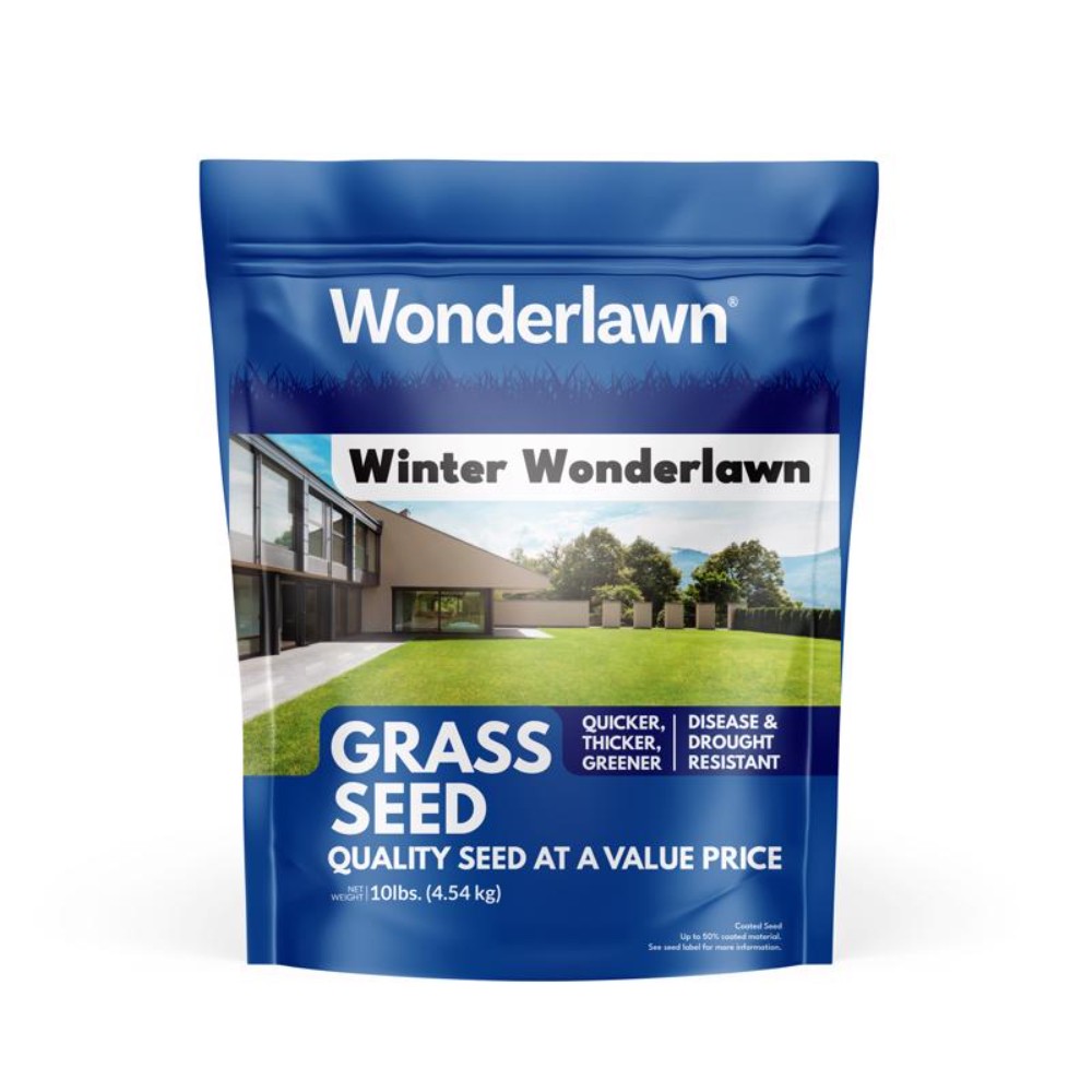 Barenbrug 24049 Italian Perennial Grass Seed 10 lb (Pack of 5)
