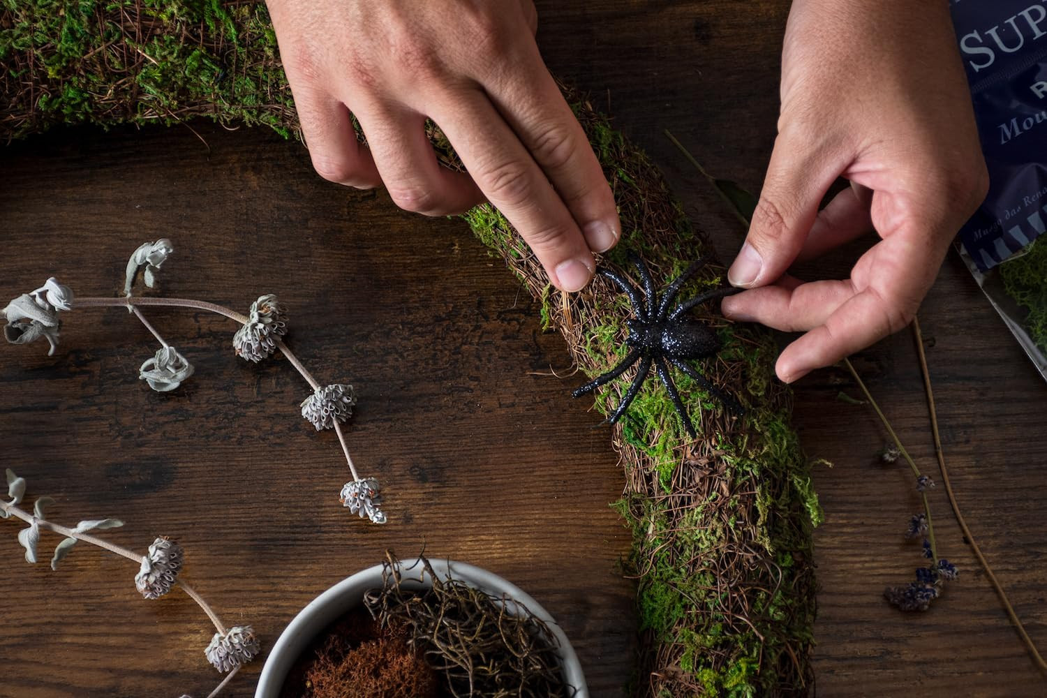 (23309) Moss Mix – Premium Decorative Moss for Crafts, Terrariums, Wedding & Tab