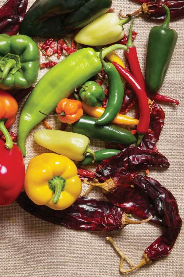 more #2 ASSORTED CHILI PEPPER SEEDS 25 varieties you choose hot mild all NON-GMO