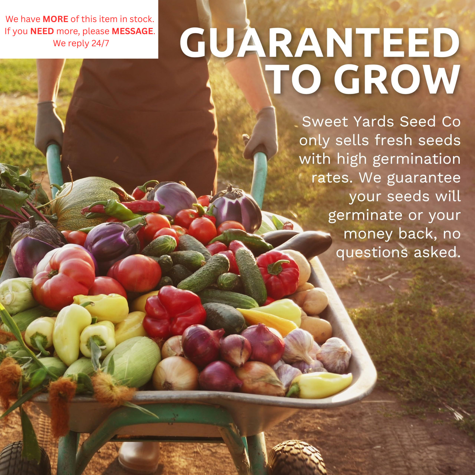 Organic Watermelon Seeds Variety Pack – 6 Individual Packs – 2026 Season Red