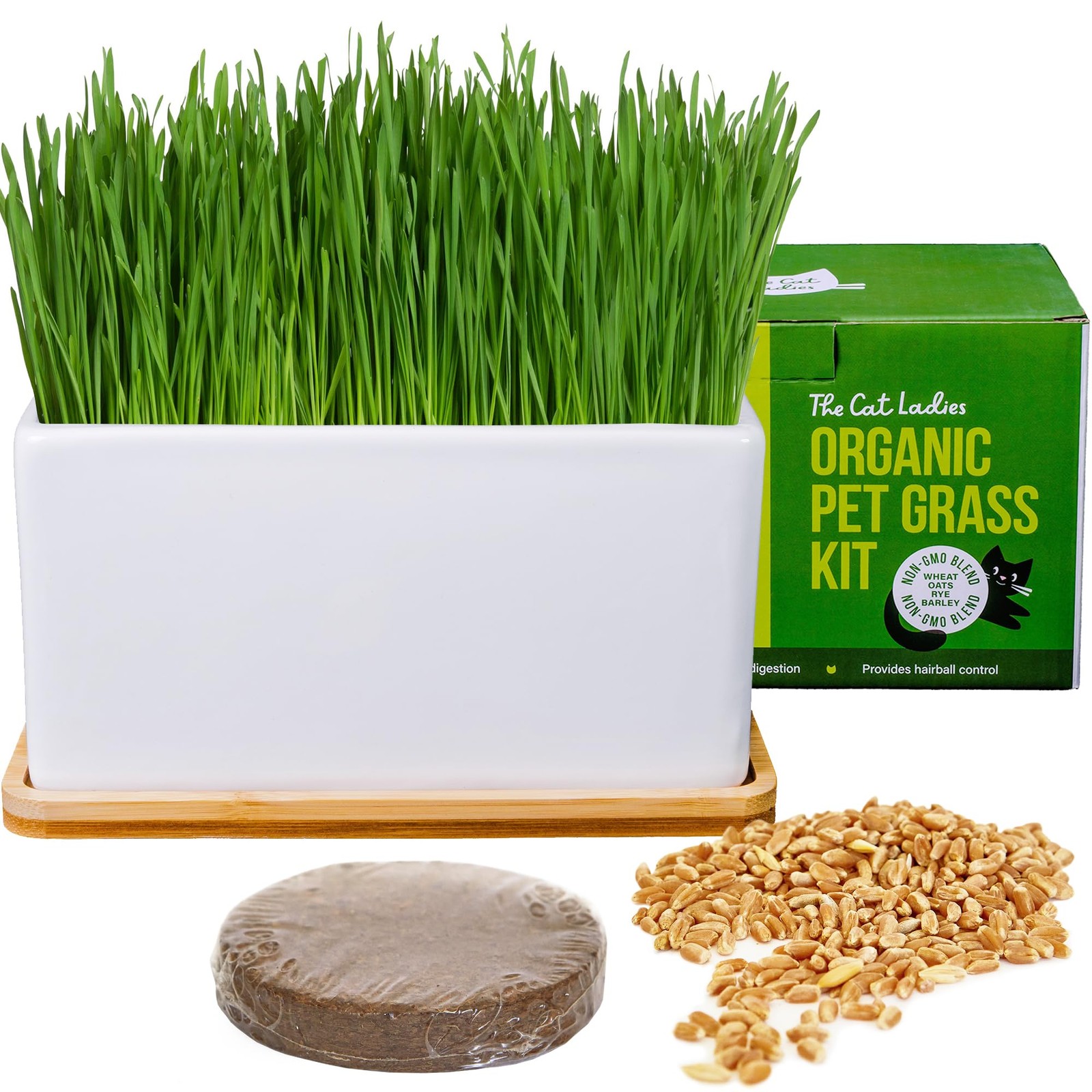 Organic Cat Grass Growing Kit – Seed Mix, Soil & Ceramic Planter for Hairball