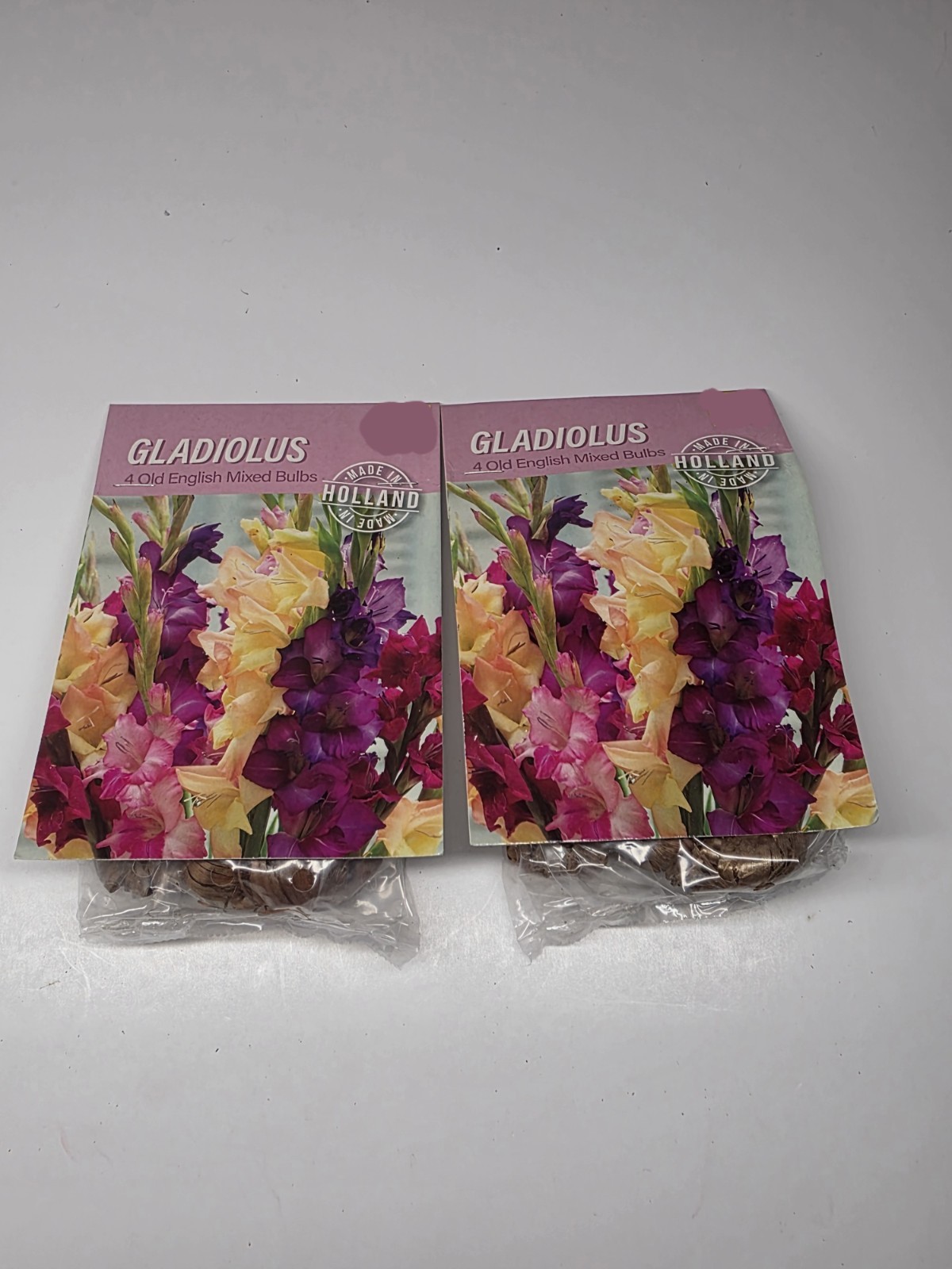 Lot Of 2 Packs of Holland Old English Mixed Gladiolus Bulbs (4 bulbs each)