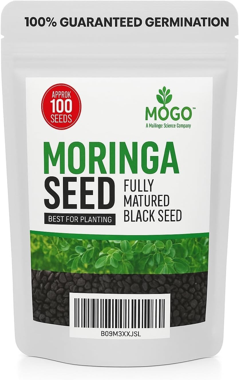 100 Moringa Seeds Approx | Moringa Seeds for Planting | Edible, Excellent Ger…