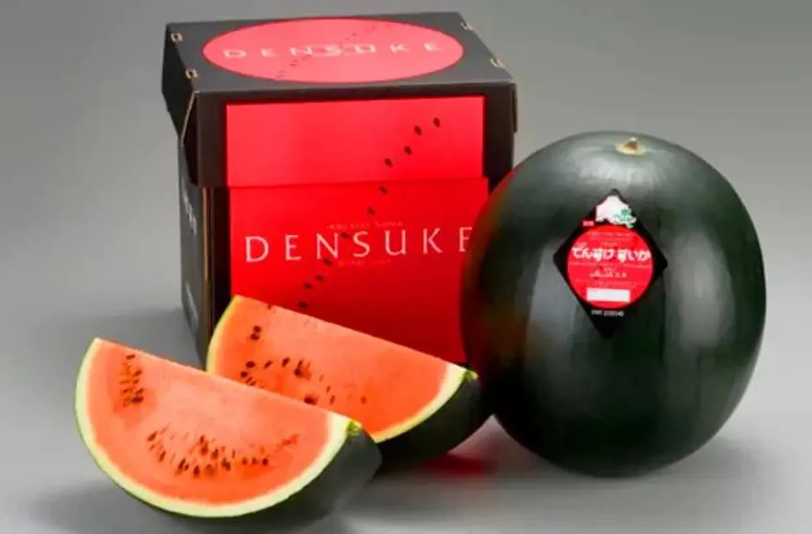 5 SUPER RARE Japanese Black Densuke Watermelon Seeds Organic