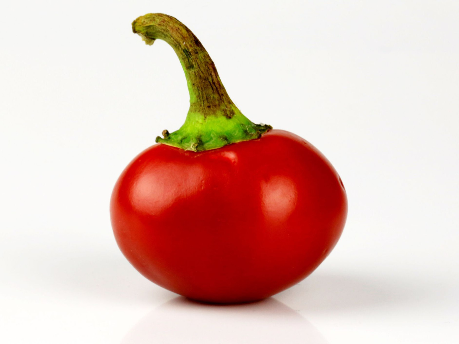 RED HOT CHERRY Pepper Seeds Organically Grown Unique Creek Homestead Certified