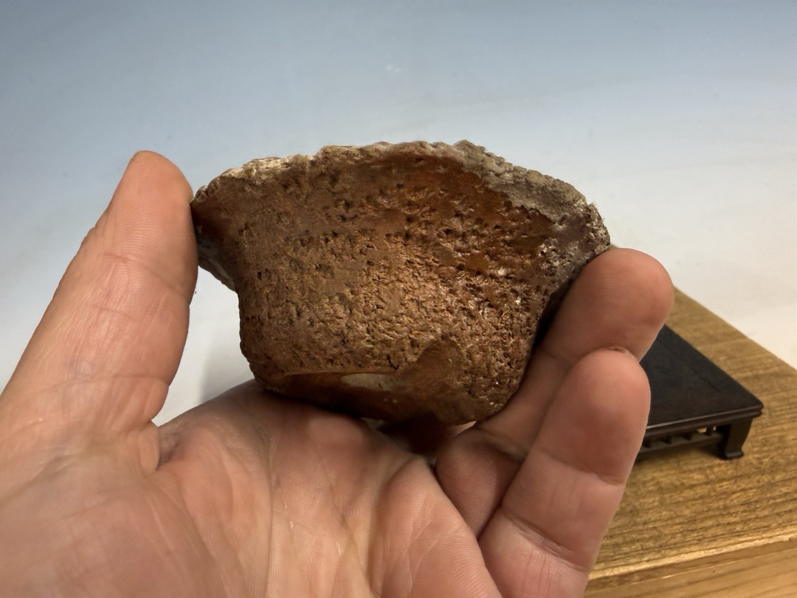 Japanese Unknown Maker Shohin Bonsai Tree Pot 3 1/2 By 1 1/4” Unique Unglazed