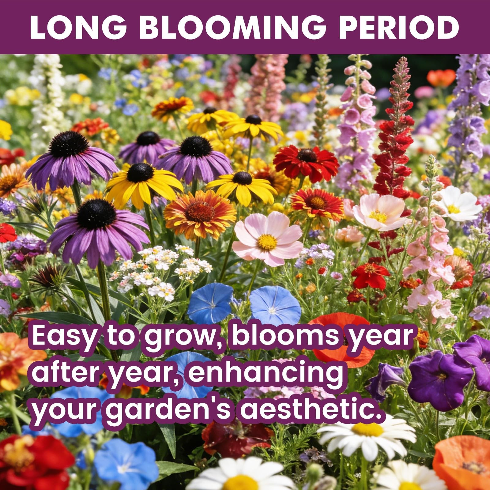 Wildflower Seeds Bulk 10000+, 1.06oz 21 Variety Perennial Mix, Multicolor
