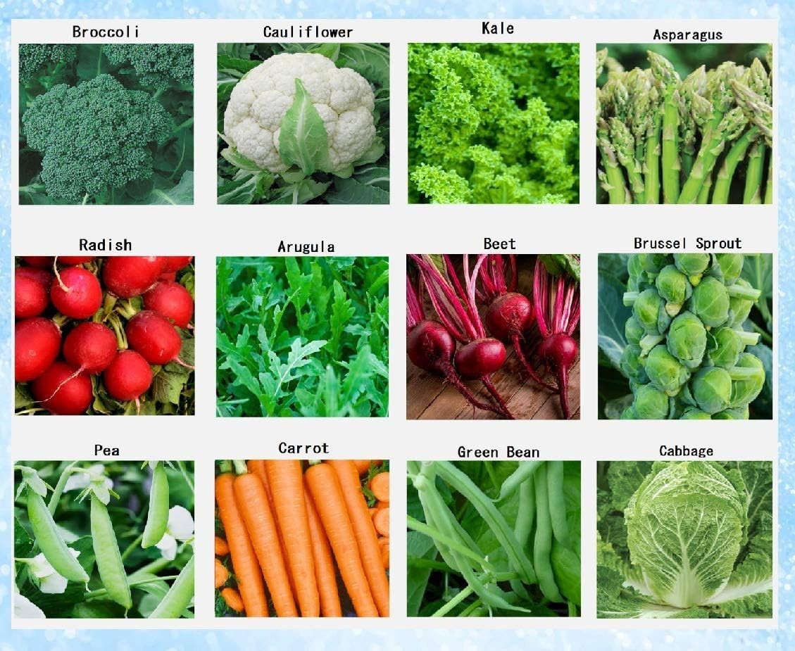Winter Vegetable Seeds for Planting Organic Non-GMO Heirloom Seeds 12 Varieti…