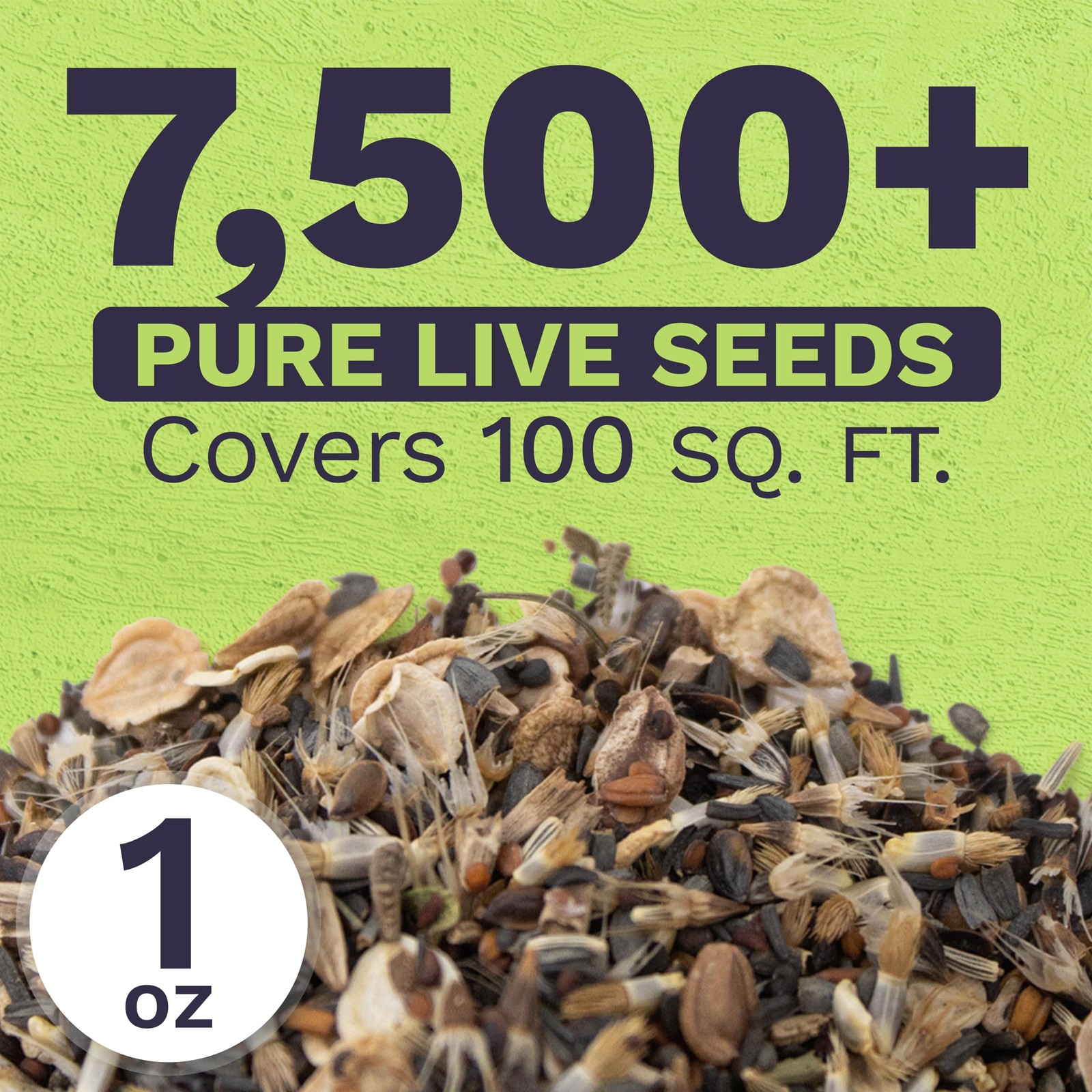 Drought Tolerant Wildflowers Mix – Extra Large Packet – Over 7,500 Open Polli…