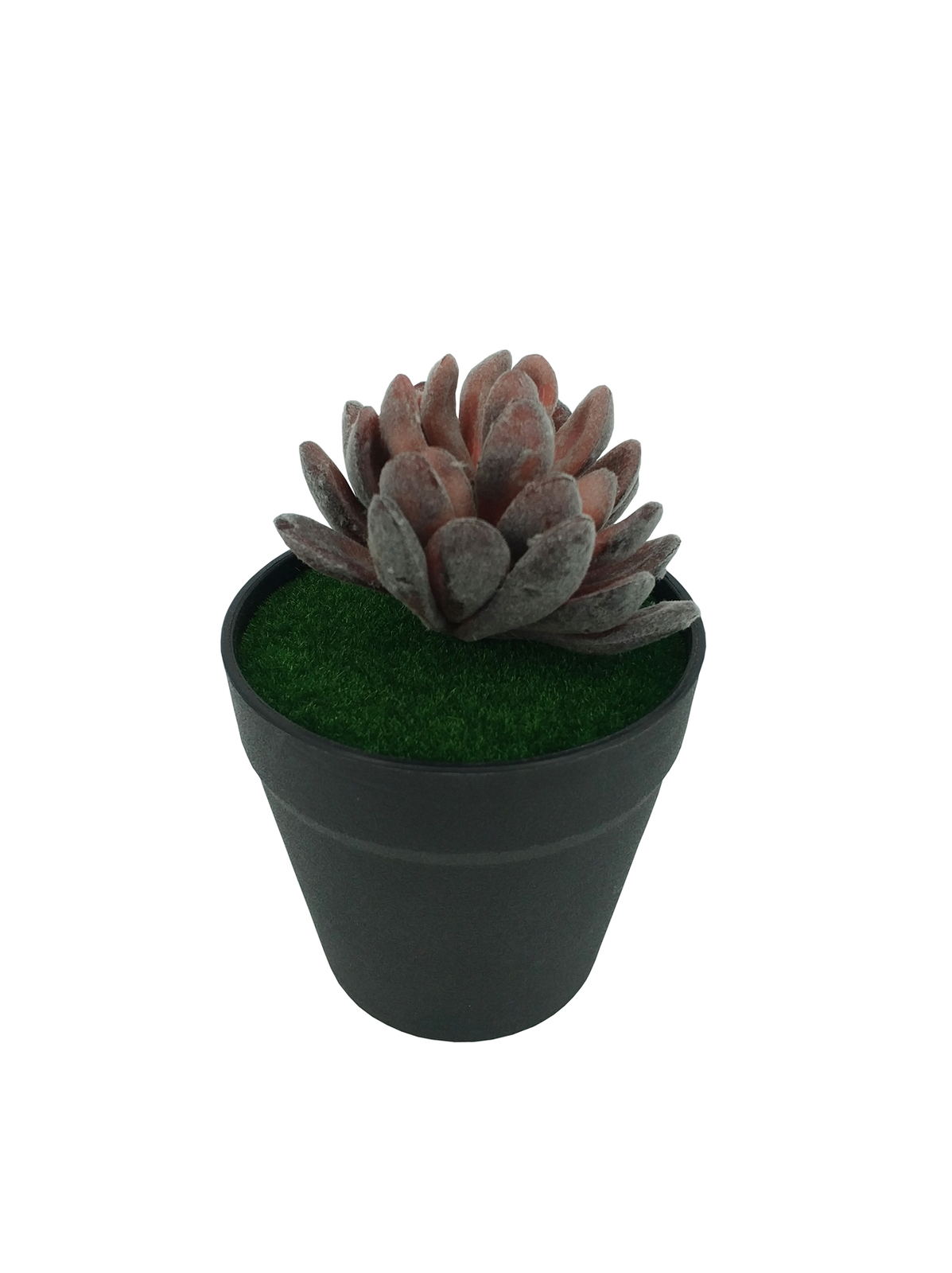 5.5″ H Black Planter w/ Succulent Purple Gem Forever Artificial Green Turf Moss