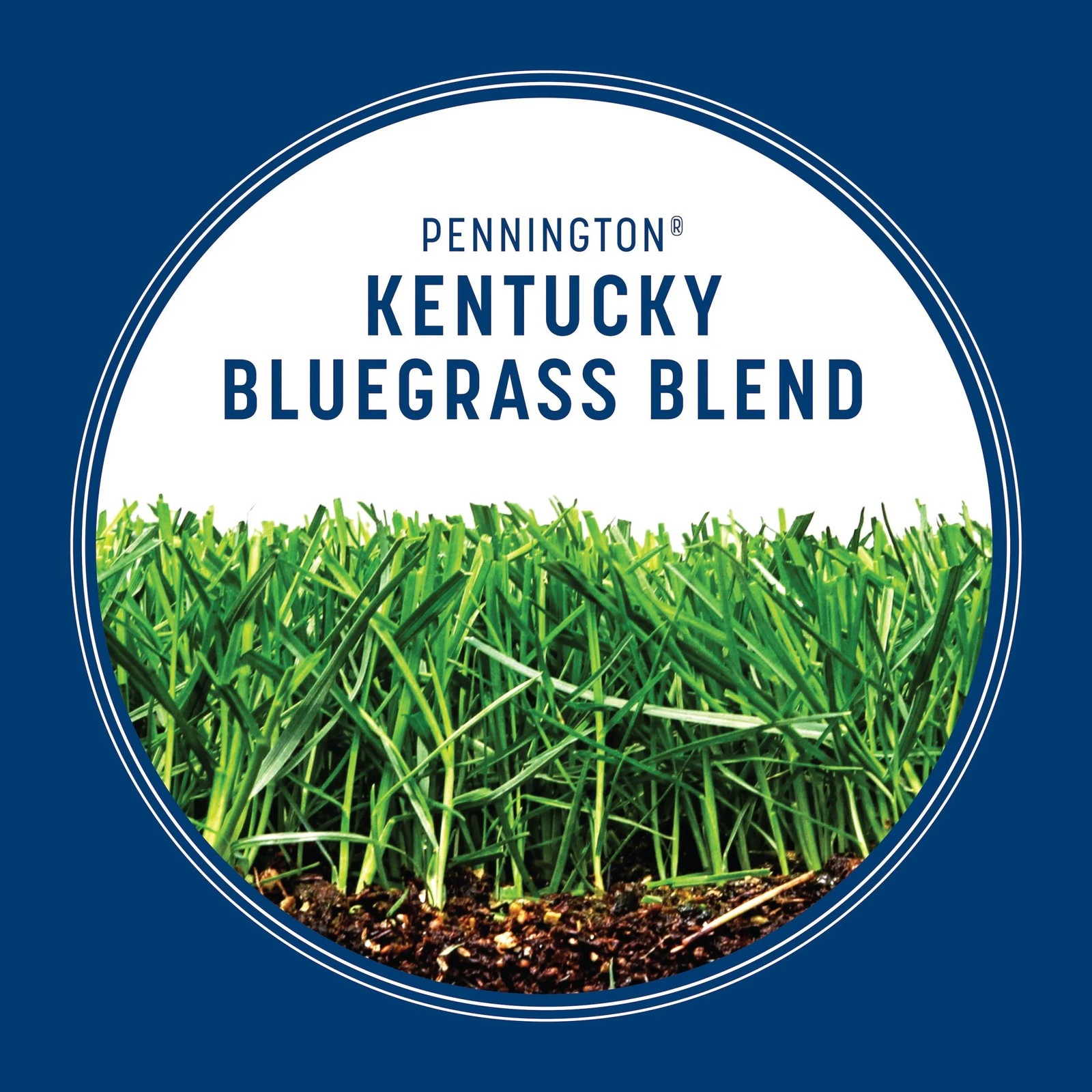 Kentucky Bluegrass Northern Grass Seed Mix, Sun Light to Partial Shade , 3 Lb.