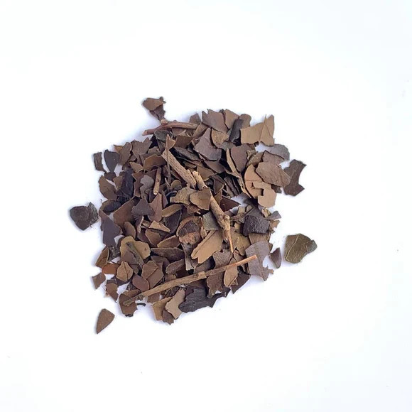 100+ Organic Yaupon Holly Seeds Natural Caffeine Tea Plant Coffee Alternative