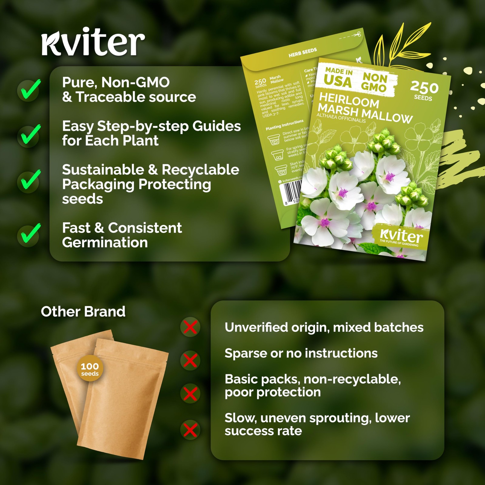 KVITER 250 Marsh Mallow Seeds For Planting (Althaea officinalis)