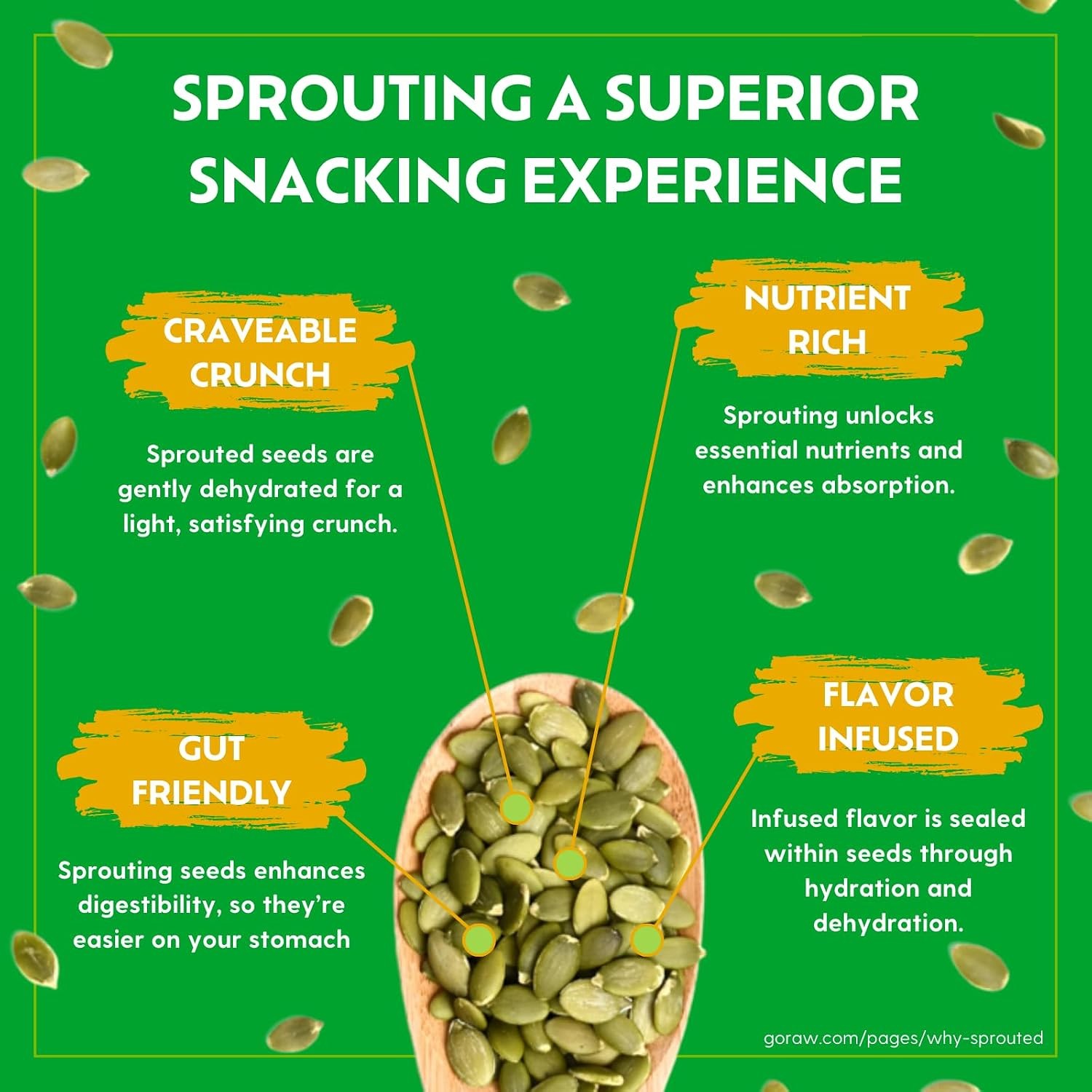 Go Raw Organic Sprouted Chili Lime Pumpkin & Sunflower Seeds 4oz 6 Pack Keto