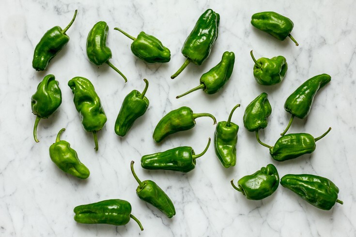 RARE✿ Spanish Heirloom Pimiento de Padron Hot Pepper 15 Seeds ●Vigorous Producer