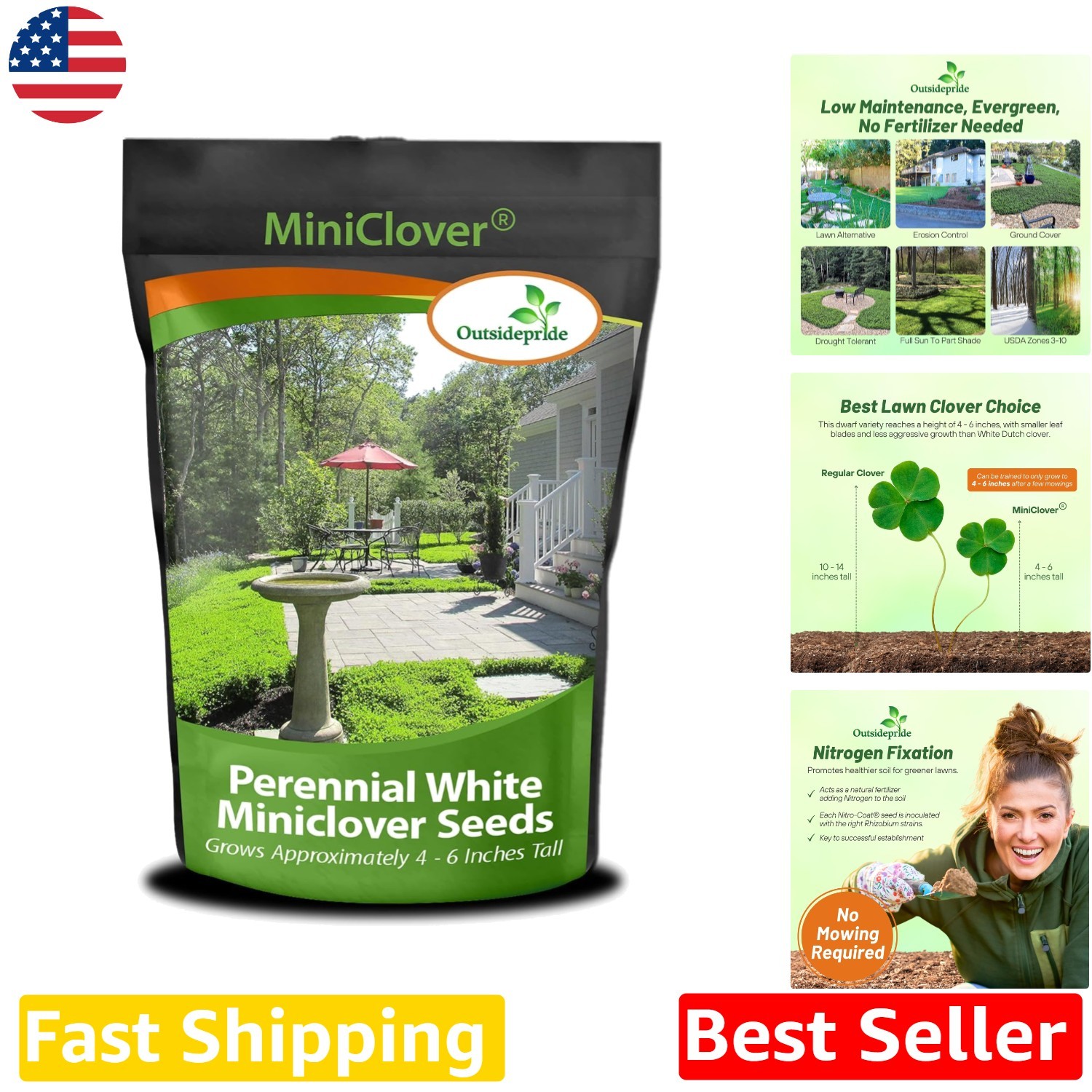 Perennial White MiniClover Seed 5 lb – Natural Nitrogen Fixer, Drought Tolerant
