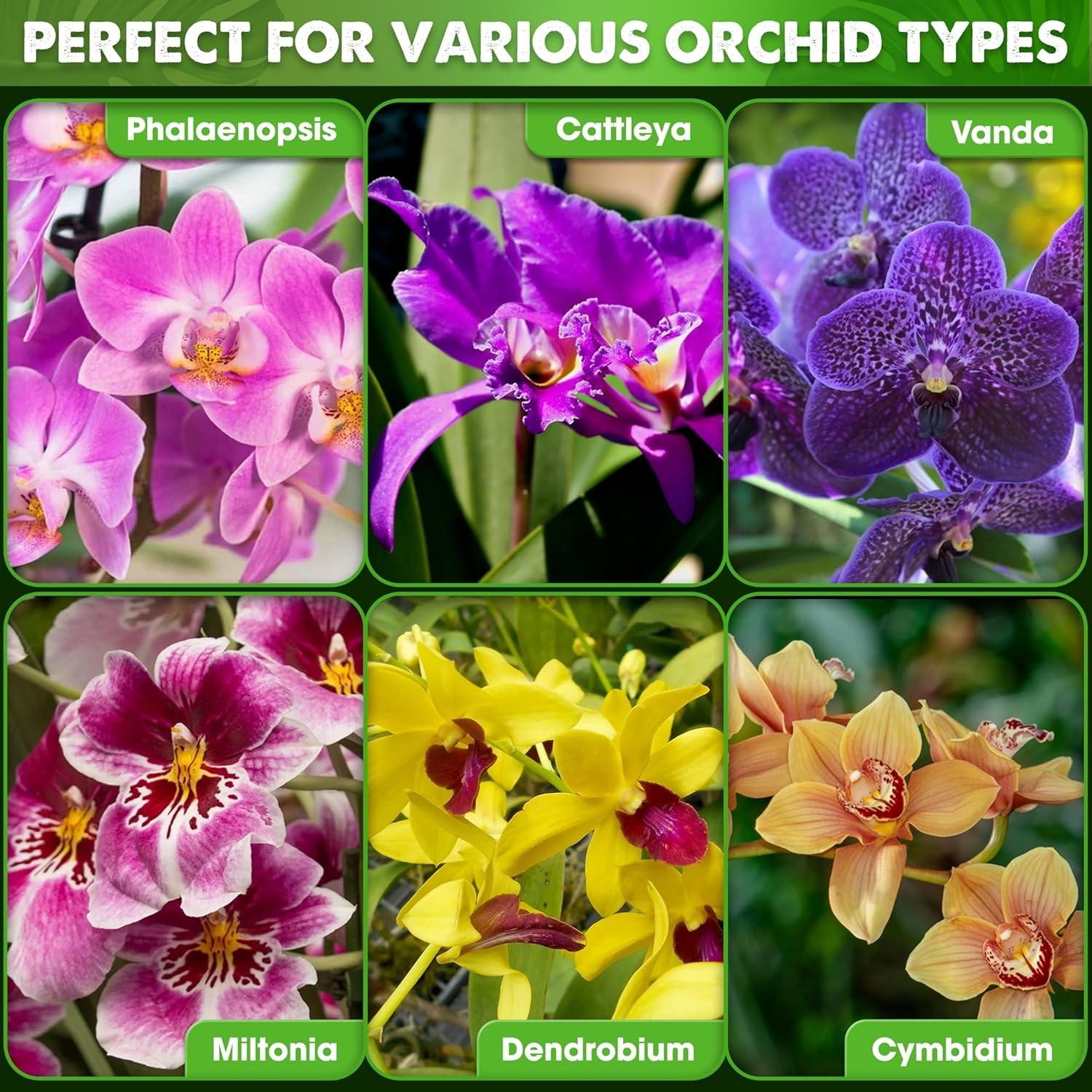Optimal Orchid Growing Medium: 2025 Upgraded 1 Quart Potting Mix for Indoor Care