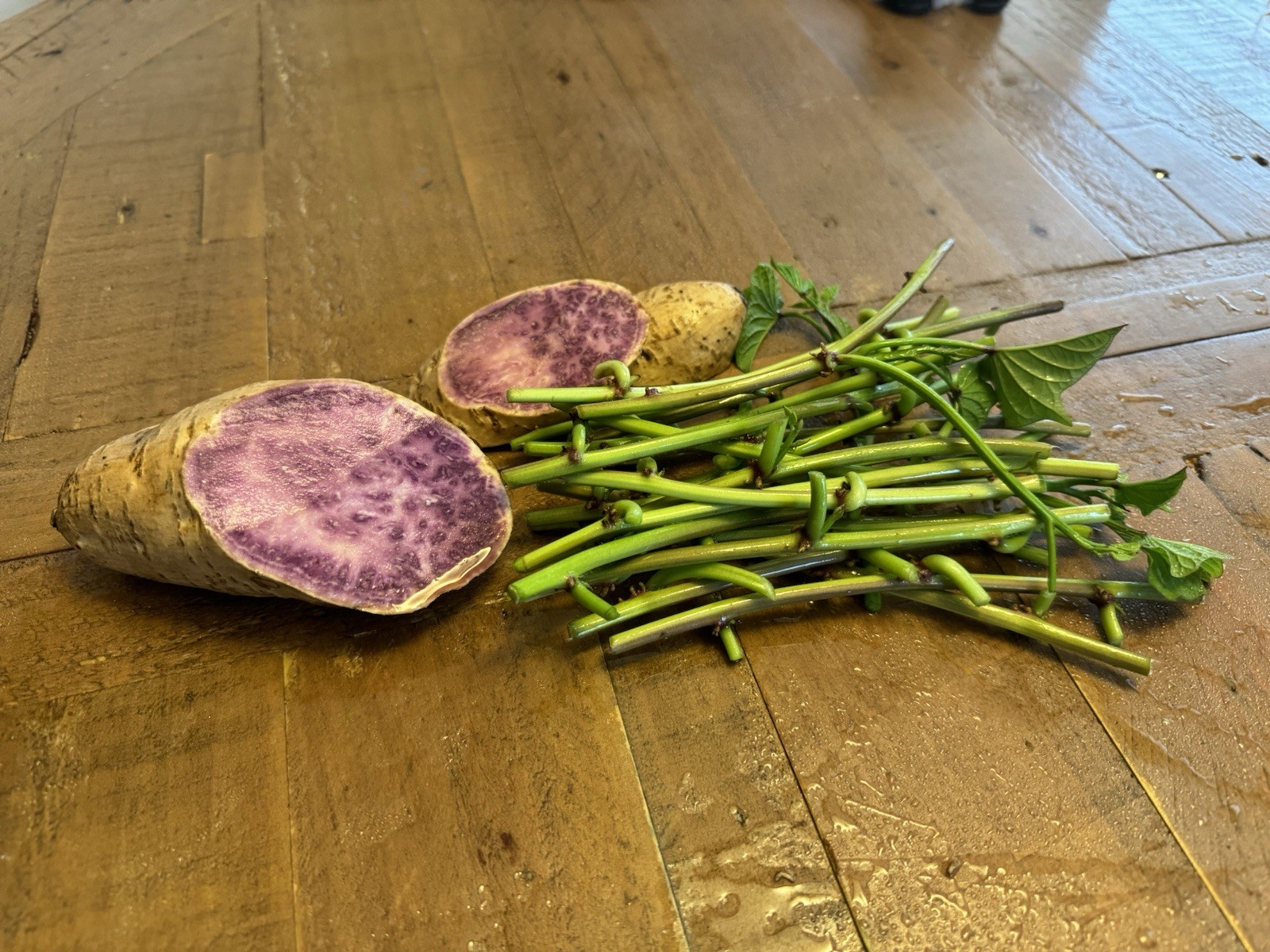 15 Japanese Okinawa Purple Sweet Potato Slip Cuttings For Planting Purposes