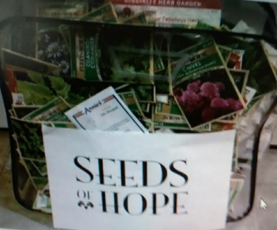 * 20 SEED PACKETS * YOU CHOOSE FROM *FLOWER, HERB OR VEGETABLE SEEDS*