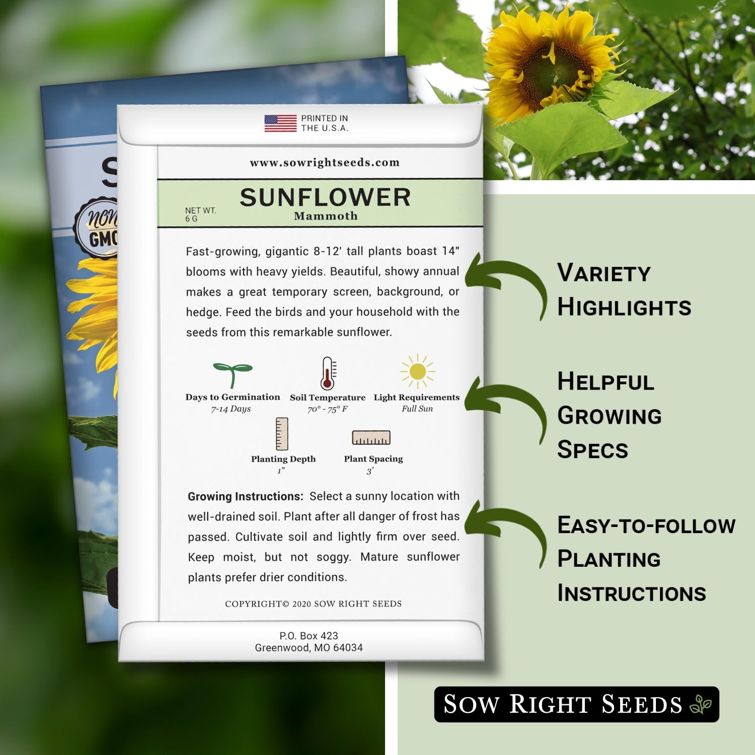 Sow Right Seeds – Mammoth Sunflower for Planting – Non-GMO Grey