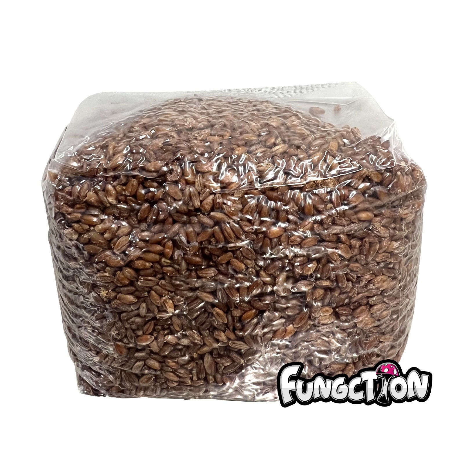 3lb Rye Berries Mushroom Grain Spawn Grow Bag (Sterilized) – NO INJECTION PORT