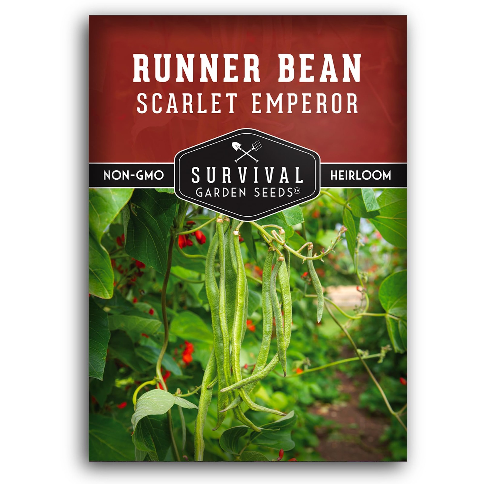 Scarlet Emperor Runner Bean Seeds for Planting – 1 Packet with Green, Red
