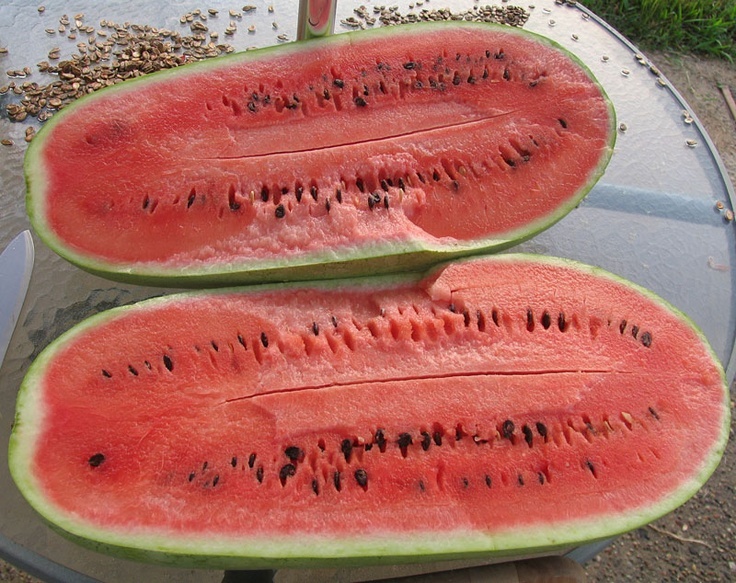 Charleston Gray Watermelon – 15 Seeds COMB. S/H SEE MY STORE
