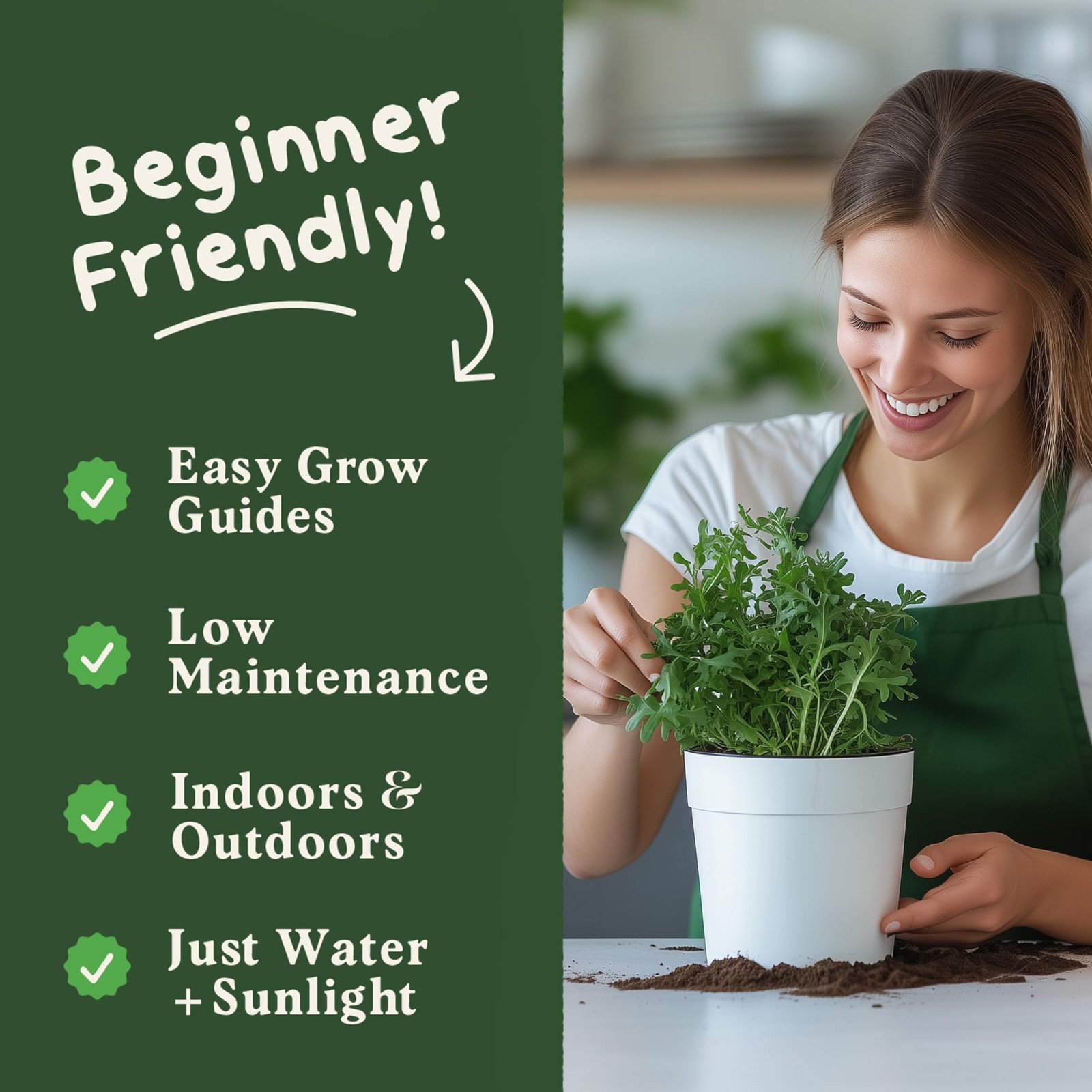 Seedboy Organic Arugula ‘Slow Bolt’ Seeds for Planting Indoor and Outdoor, No…