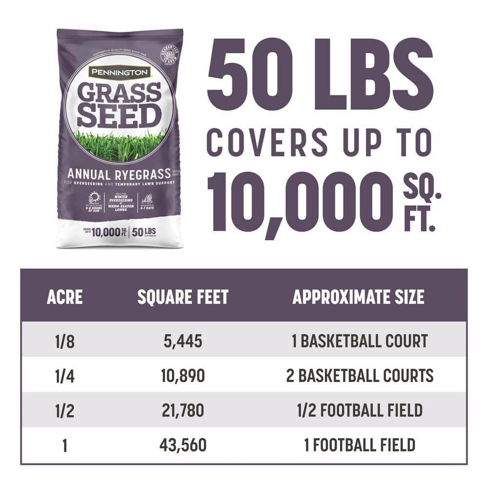 50 lb. Annual Ryegrass Seed – Covers 10,000 sq. ft., Fast-Growing Lawn