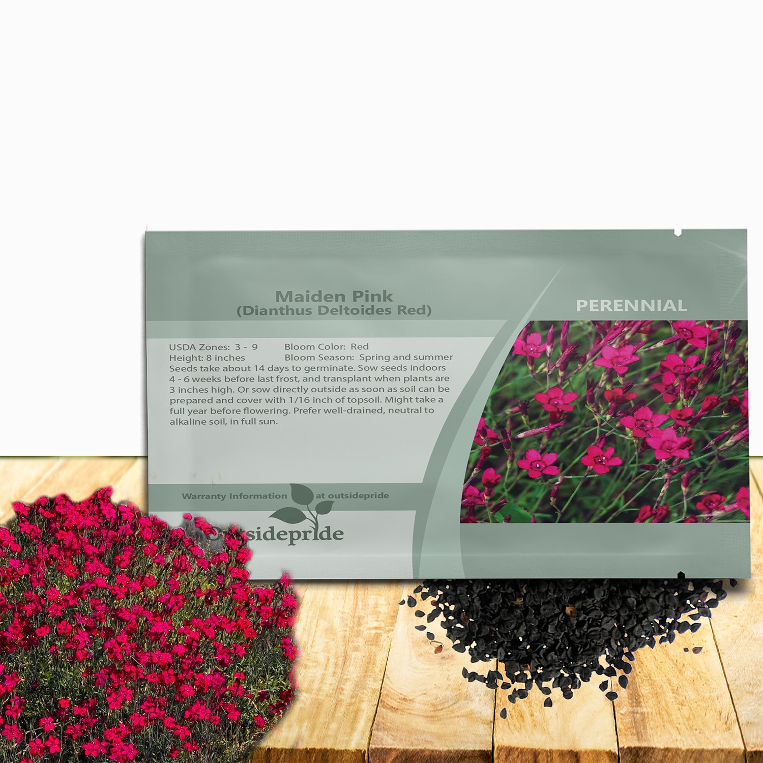5000 Seeds Dianthus Deltoides Maiden Pinks Drought Resistant Flower Seed