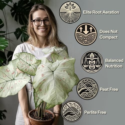 Organic Potting Mix for Alocasia, Philodendron, Monstera – Chunky, Well-Draining