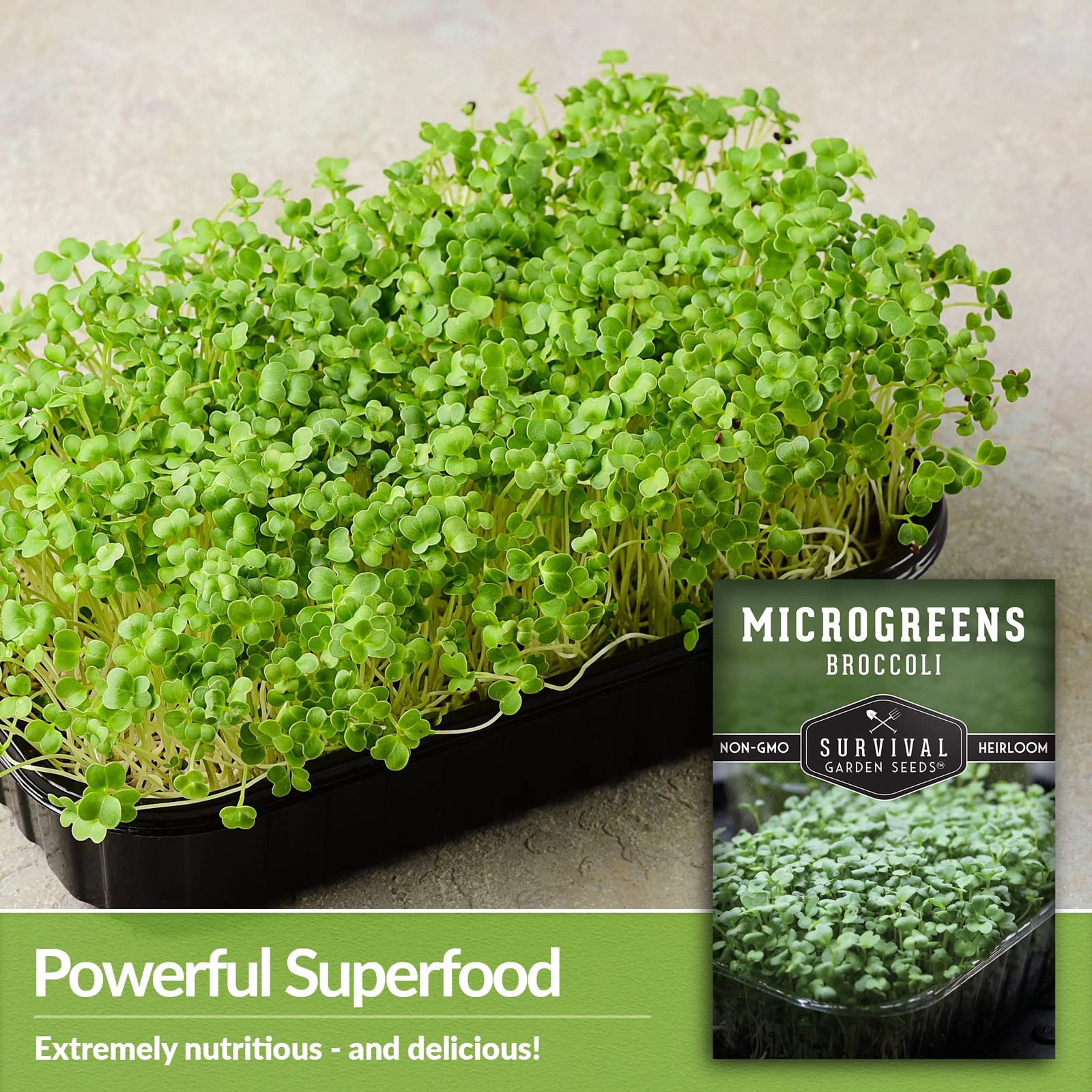 Broccoli Microgreen Seeds for Planting – Non-GMO Heirloom Green