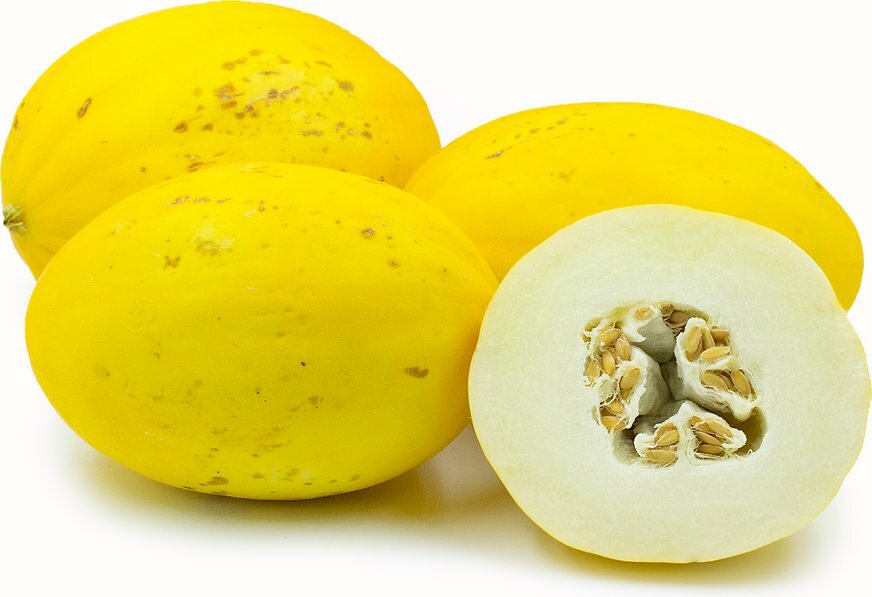 Canary Melon Seeds 25+ Yellow Fruit Cucumis Melo Heirloom NON-GMO FREE SHIPPING