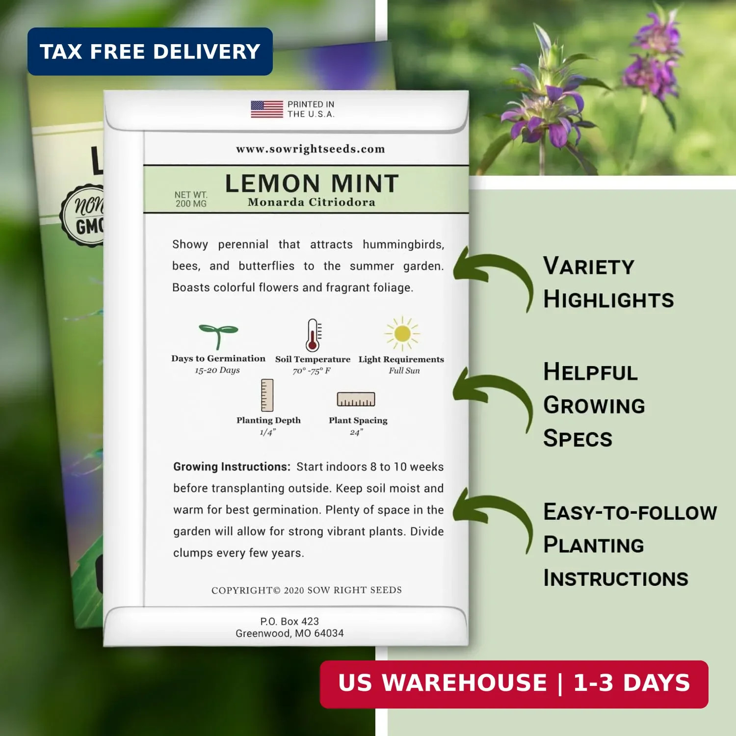 Sow Right Seeds – Lemon Mint Seed for Planting – Non-GMO Heirloom with Packet wi