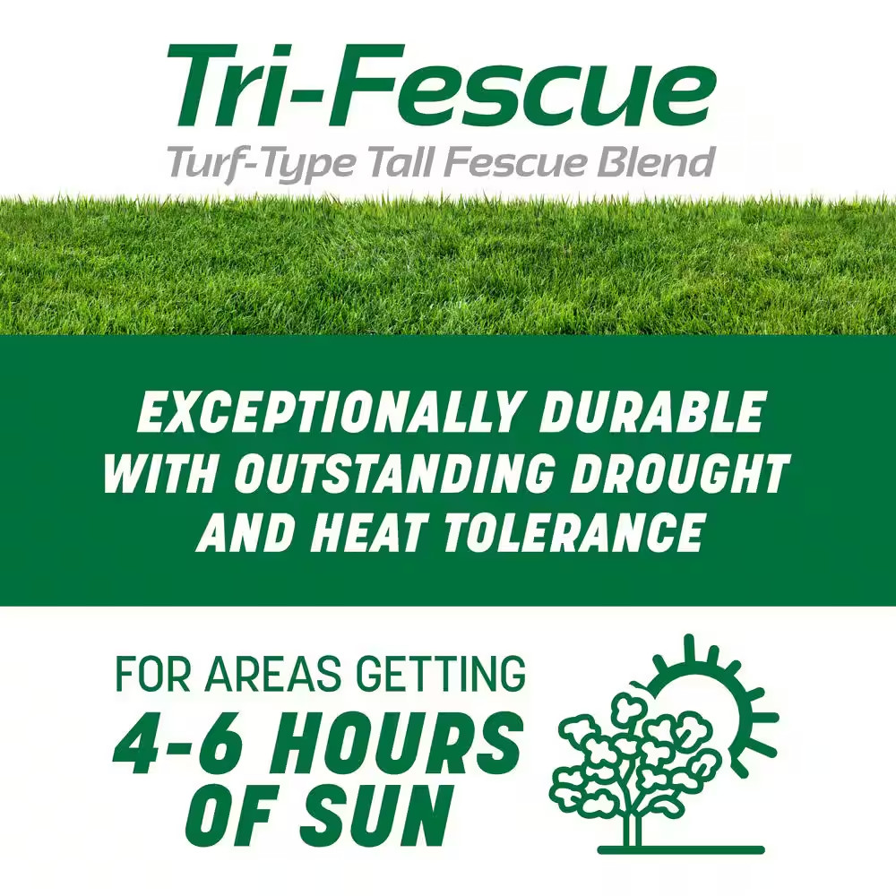Smart Seed Professional Tri-Fescue Tall Fescue 50 Lbs. 5,000 Sq. Ft. Grass Seed