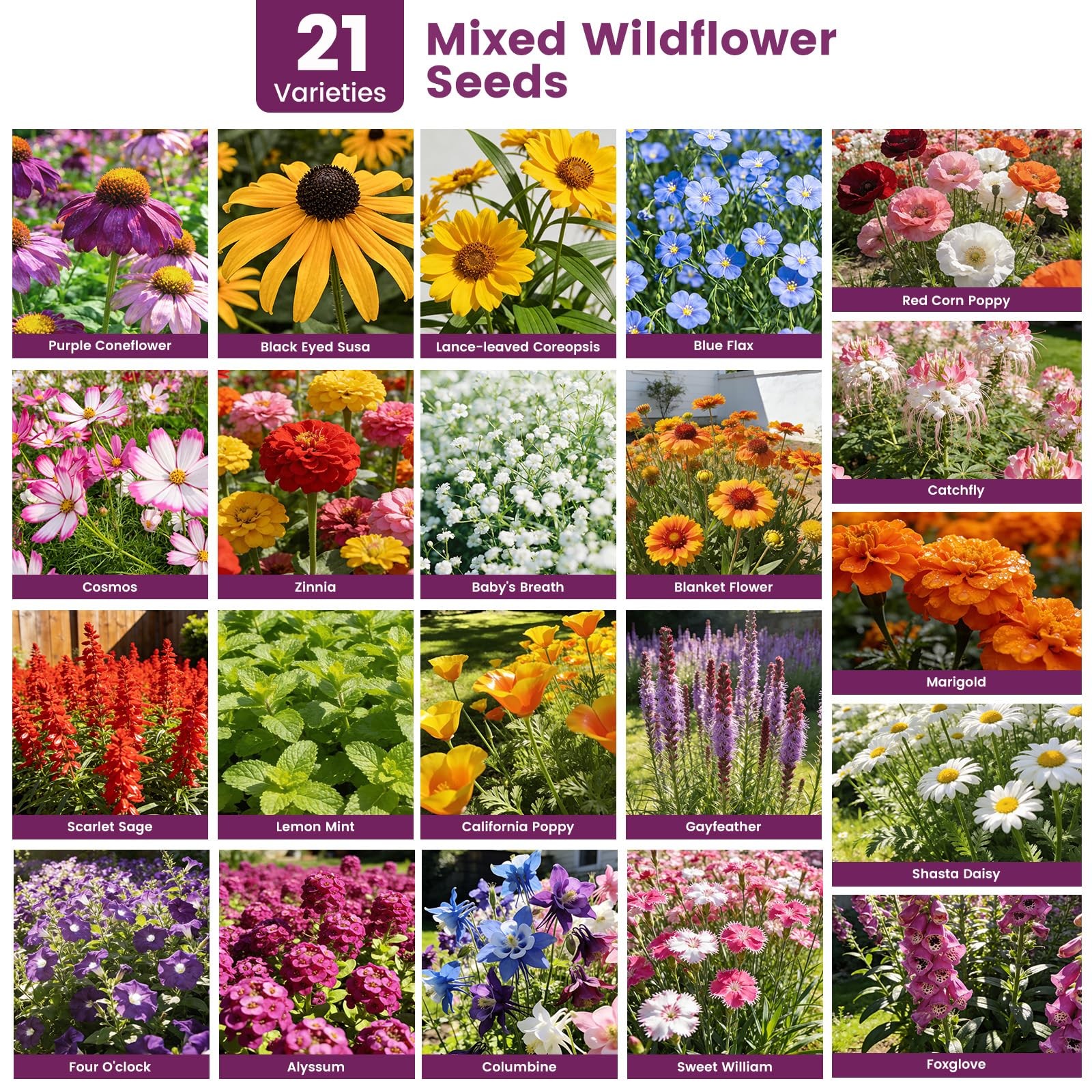 Wildflower Seeds Bulk 10000+, 1.06oz 21 Variety Perennial Mix, Multicolor